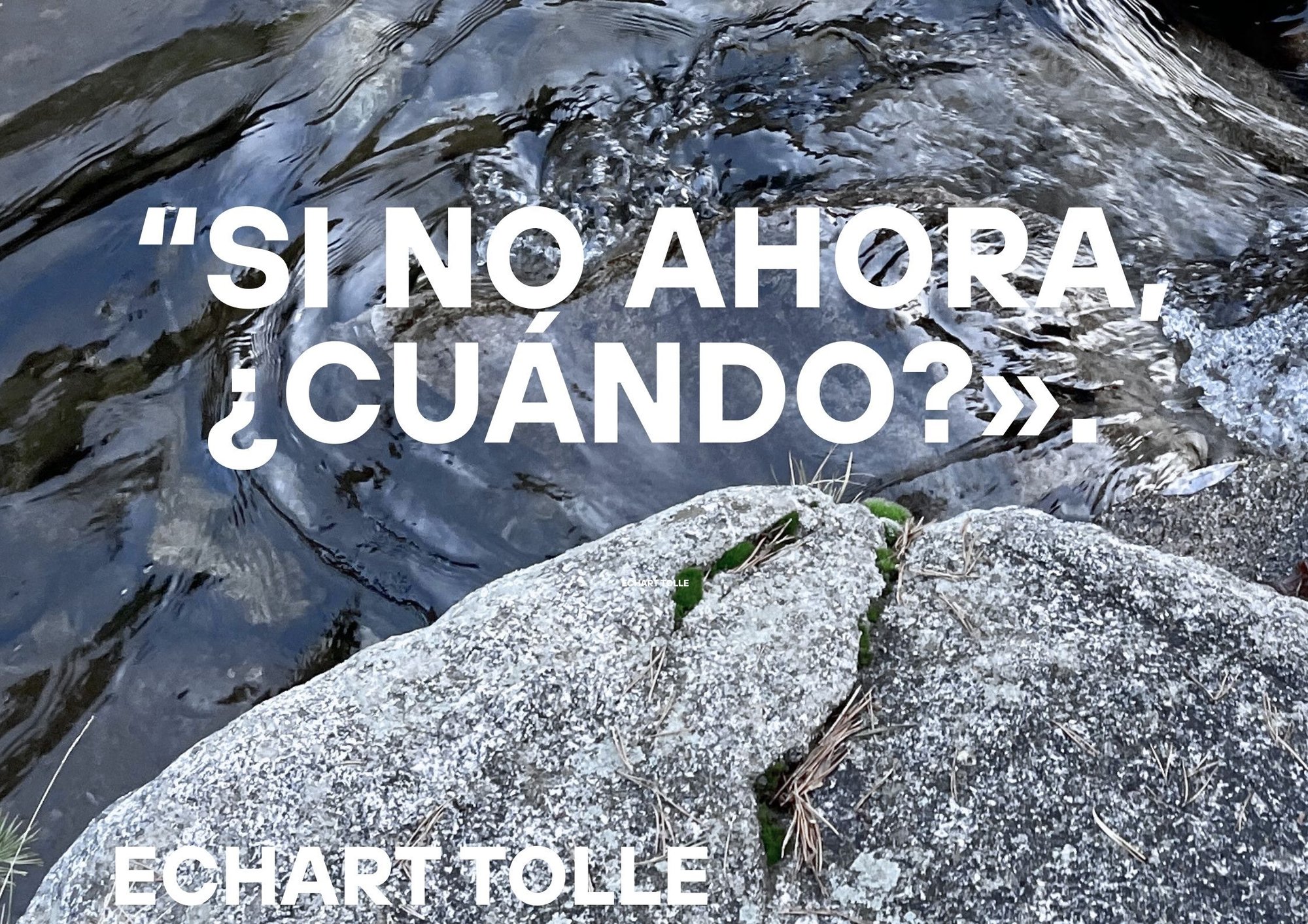 Echart Tolle